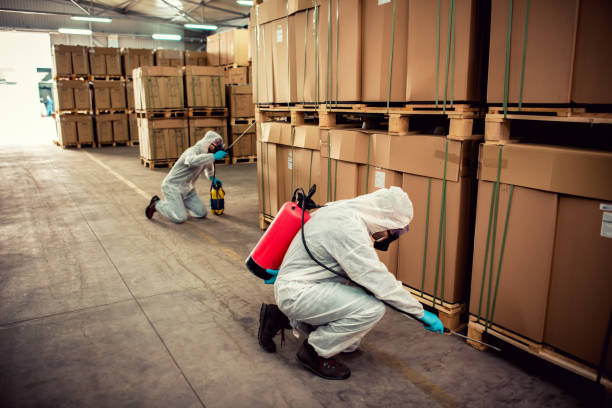 Best Pest Control Treatment  in Montana City, MT