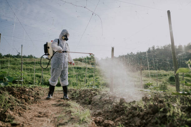 Best Pest Control Cost  in Montana City, MT