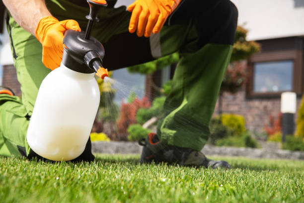 Pest Control Cost in Montana City, MT