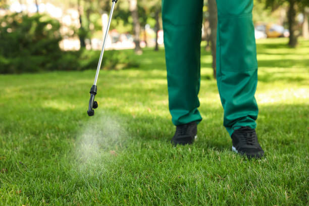  Montana City, MT Pest Control Pros
