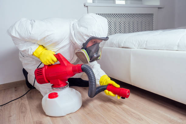 Best Bed Bug Extermination  in Montana City, MT