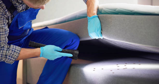 Best Affordable Pest Control Services  in Montana City, MT