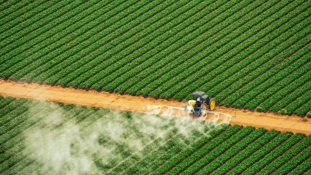 Best Commercial Pest Control Services  in Montana City, MT