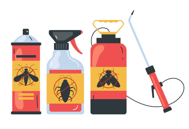 Best Wasp Removal Services  in Montana City, MT