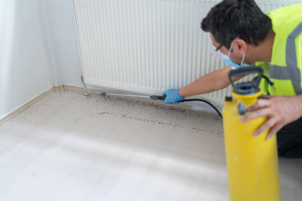 Best Residential Pest Control  in Montana City, MT