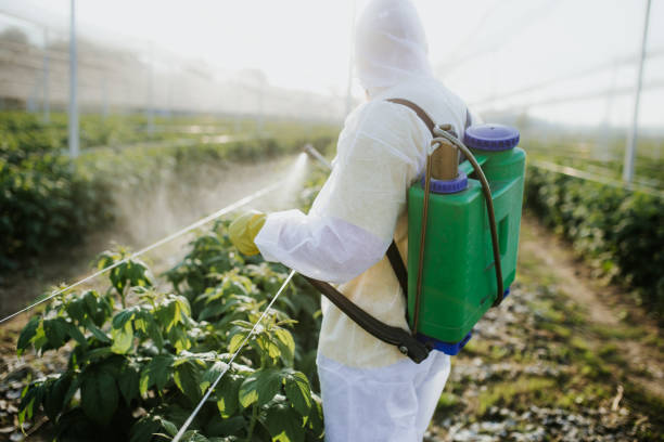 Best Commercial Pest Control Services  in Montana City, MT